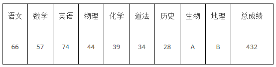 济宁最好的高中排名前十名的学校（2023济宁市重点公办中学一览表）插图12
