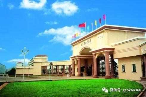 山东综合评价学校排名,山东最好的综评学院排名