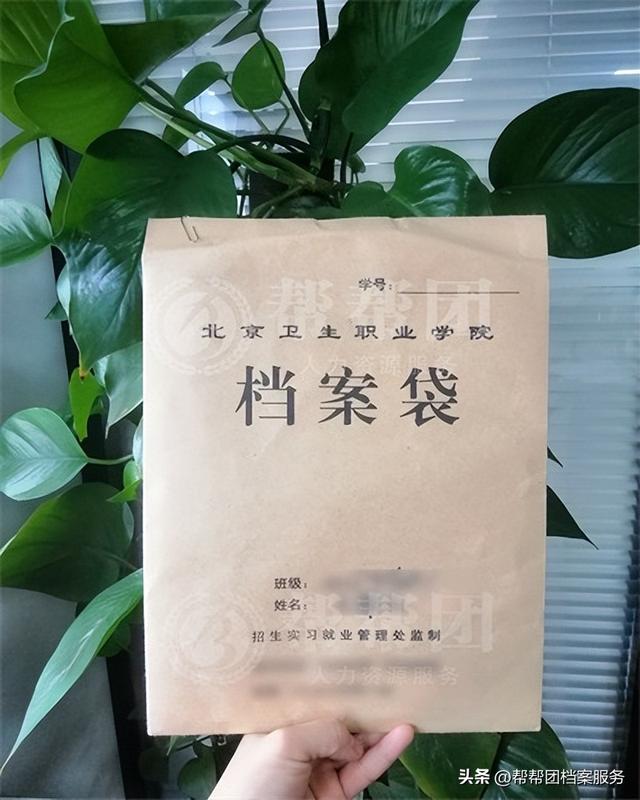 毕业证在哪里查,从哪可以查到毕业证