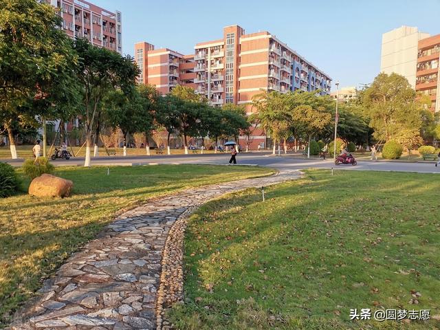 20分可以考什么大学,四百多分理科能考什么大学"