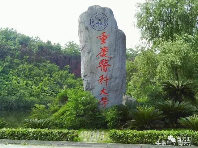 28理科可以报什么学校,文科528分可以上什么大学"