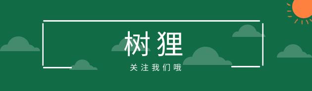 岁孩子胆小懦弱皆因父母,孩子自卑多半与爸爸有关"