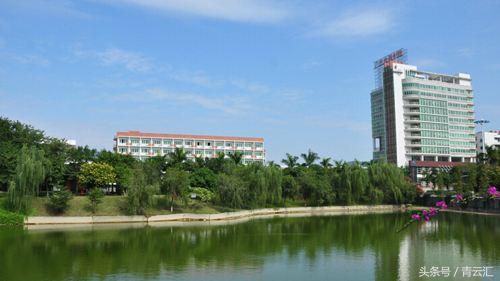 28理科可以报什么学校,文科528分可以上什么大学"