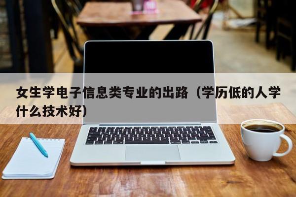 女生学电子信息类专业的出路（学历低的人学什么技术好）