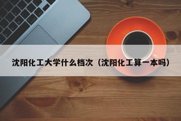 沈阳化工大学什么档次（沈阳化工算一本吗）