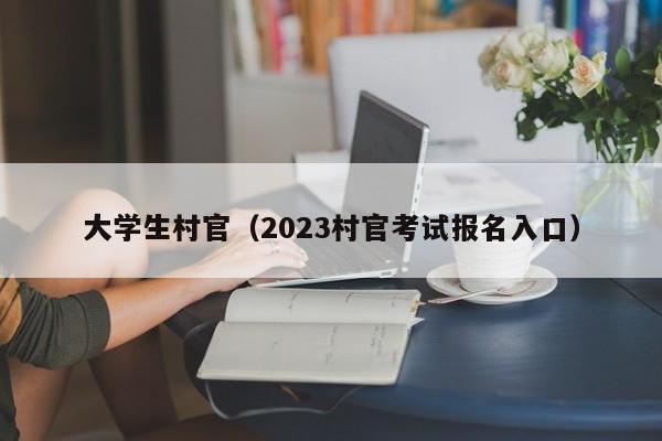 大学生村官（2023村官考试报名入口）