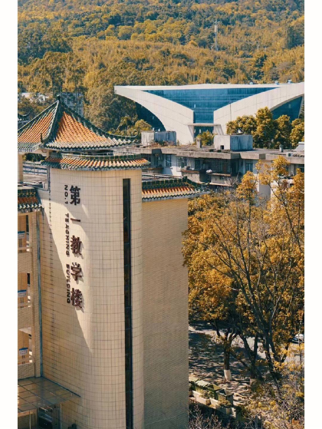 肇庆学院怎么样