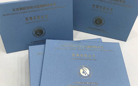 北京舞蹈学院教师资格证(北京舞蹈学院录取分数线)