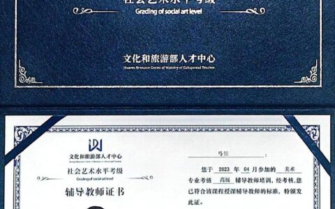 华彩舞蹈教师资格证(舞蹈教师资格证报名入口官网)