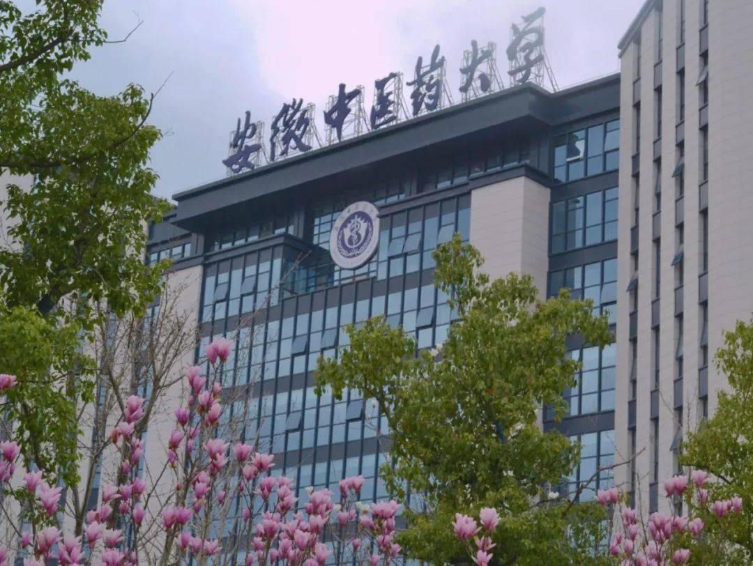 安徽中医药大学是几本