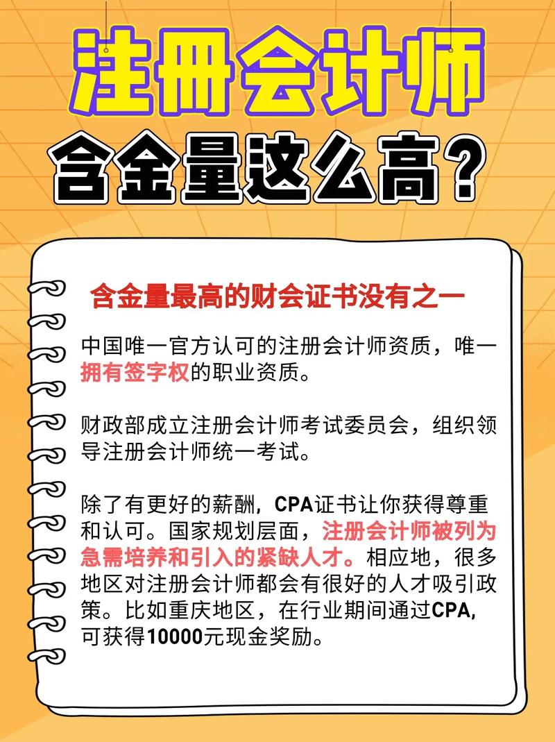 注册会计师能干什么工作