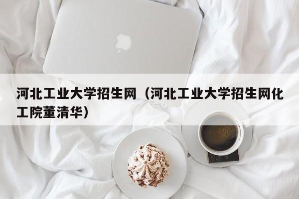 河北工业大学招生网（河北工业大学招生网化工院董清华）