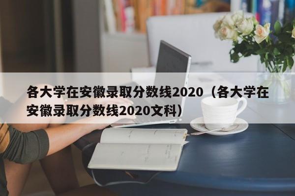 各大学在安徽录取分数线2020（各大学在安徽录取分数线2020文科）