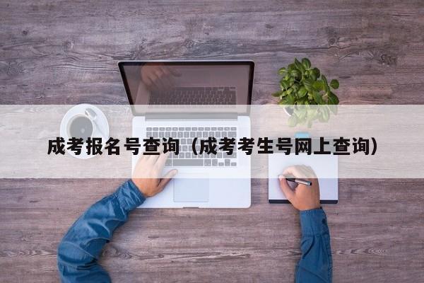 成考报名号查询（成考考生号网上查询）