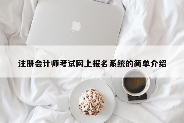 注册会计师考试网上报名系统的简单介绍