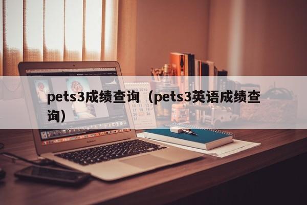 pets3成绩查询（pets3英语成绩查询）