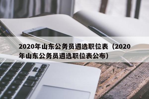 020年山东公务员遴选职位表（2020年山东公务员遴选职位表公布）"