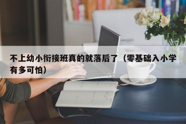 不上幼小衔接班真的就落后了（零基础入小学有多可怕）