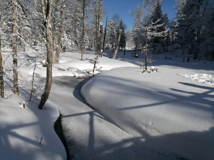 关于北国风光的雪后美景作文题目范文 精选优秀范文参考插图5