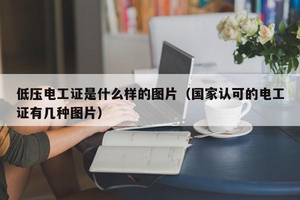 低压电工证是什么样的图片（国家认可的电工证有几种图片）