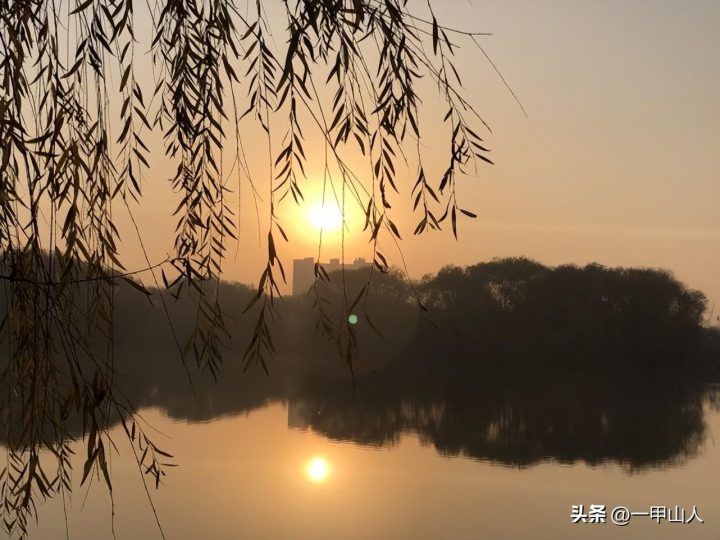 重阳节为什么叫重阳节 重阳节的来历和风俗插图