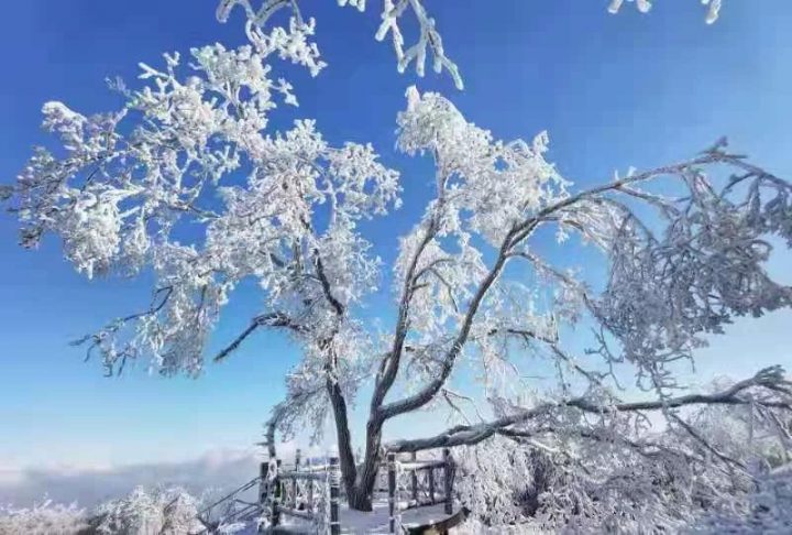 关于北国风光的雪后美景作文题目范文 精选优秀范文参考插图2