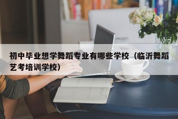 初中毕业想学舞蹈专业有哪些学校（临沂舞蹈艺考培训学校）