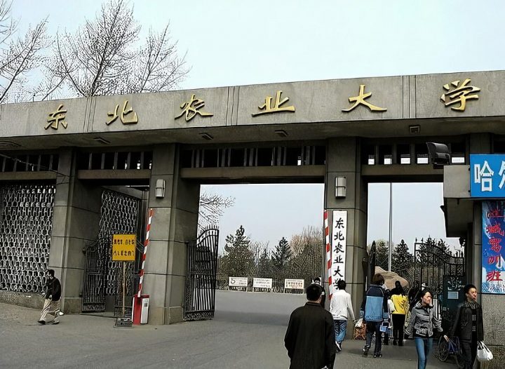 黑龙江省最好的大学排名一览表 2023全省高校最新TOP10名单插图3