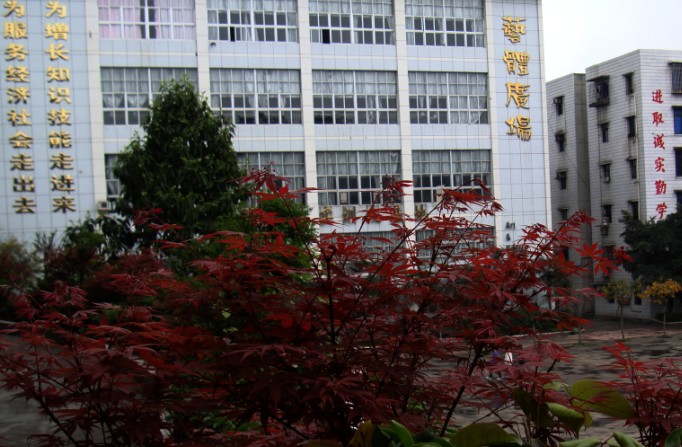 重庆市最好的职高排名前十的学校 2023十大重点职业高中名单一览表插图2