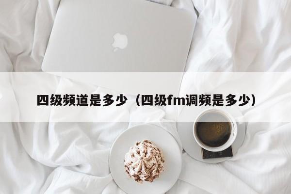 四级频道是多少（四级fm调频是多少）