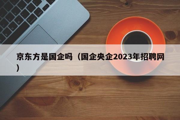 京东方是国企吗（国企央企2023年招聘网）