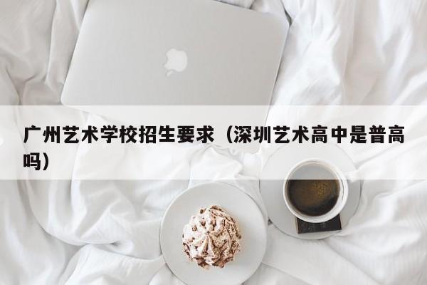 广州艺术学校招生要求（深圳艺术高中是普高吗）